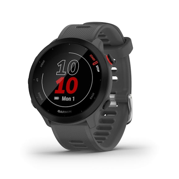 Garmin Forerunner 55 Garmin Forerunner 55