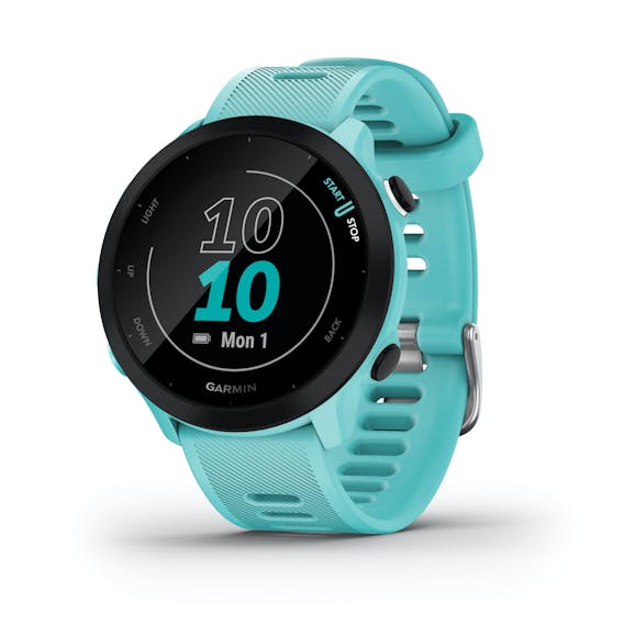 Garmin Forerunner 55 Garmin Forerunner 55