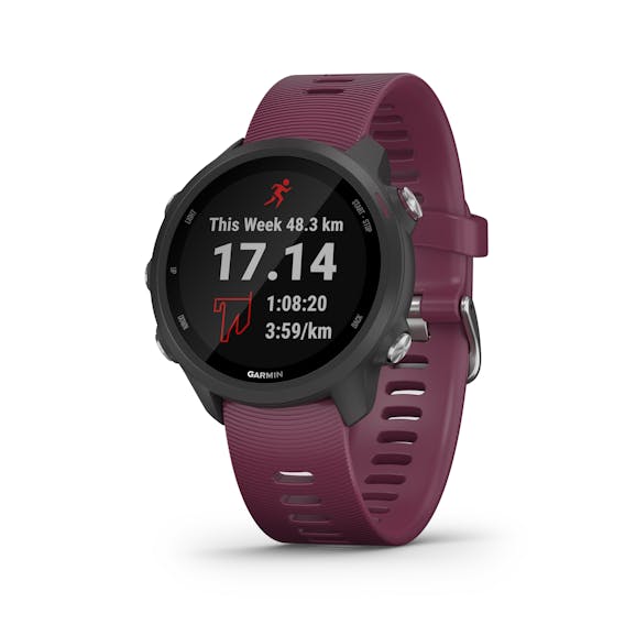 Garmin Forerunner 245 Garmin Forerunner 245