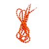 Xtenex Sport Laces 75 cm - Neon Orange